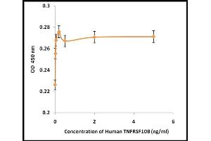 Activity Assay (AcA) image for Tumor Necrosis Factor Receptor Superfamily, Member 10b (TNFRSF10B) (Active) protein (ABIN5509507) (TNFRSF10B Protéine)