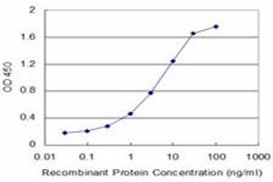 Detection limit for recombinant GST tagged SLC1A2 is approximately 0.