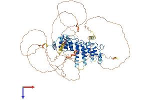AlphaFold protein structure predicition of Mouse Recombinant Nfkbiz Protein, UniprotID Q9EST8