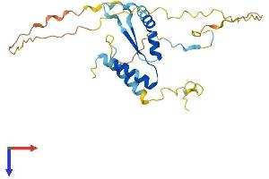 AlphaFold protein structure predicition of Human Recombinant AKT1S1 Protein, UniprotID Q96B36