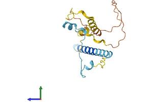 AlphaFold protein structure predicition of Mouse Recombinant Fancd2os Protein, UniprotID Q9D4K4