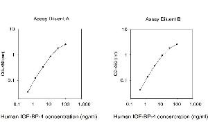ELISA image for Insulin-Like Growth Factor Binding Protein 4 (IGFBP4) ELISA Kit (ABIN4883276) (IGFBP4 Kit ELISA)