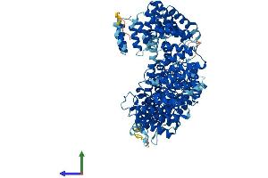 AlphaFold protein structure predicition of Mouse Recombinant Naa25 Protein, UniprotID Q8BWZ3
