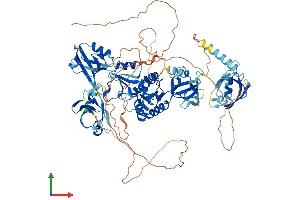 AlphaFold protein structure predicition of Mouse Recombinant Dlg2 Protein, UniprotID Q91XM9