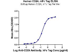 Immobilized Human CD24, mFc Tag at 0. (CD24 Protein (AA 27-59) (mFc Tag))