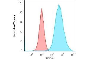 Flow Cytometric Analysis of MeOH-fixed MCF-7 cells using Cytokeratin 19 Mouse Monoclonal Antibody (KRT19/799) followed by Goat anti-Mouse IgG-CF488 (Blue); Isotype Control (Red).