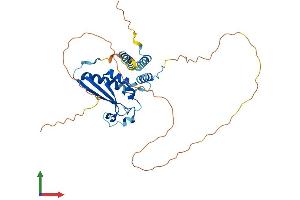 AlphaFold protein structure predicition of Mouse Recombinant Qki Protein, UniprotID Q9QYS9