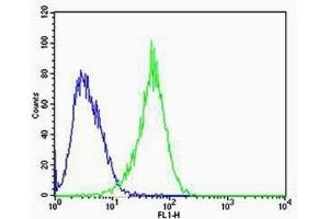 Flow cytometric analysis of U-87 MG cells using RAC1 antibody (green) and an isotype control of mouse IgG2b (blue); Ab was diluted at 1:100 dilution.