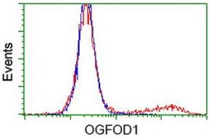 HEK293T cells transfected with either RC206839 overexpress plasmid (Red) or empty vector control plasmid (Blue) were immunostained by anti-OGFOD1 antibody (ABIN2454234), and then analyzed by flow cytometry. (OGFOD1 anticorps)