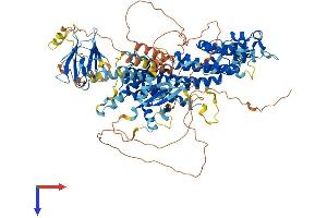 AlphaFold protein structure predicition of Human Recombinant RASIP1 Protein, UniprotID Q5U651