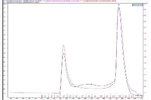 Size-exclusion chromatography-High Pressure Liquid Chromatography (SEC-HPLC) image for Sodium Channel, Voltage-Gated, Type IX, alpha Subunit (SCN9A) (AA 1761-1988) protein (His tag) (ABIN3095280)