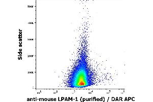Flow cytometry surface staining pattern of murine splenocyte suspension stained using anti-mouse LPAM-1 (DATK32) purified antibody (concentration in sample 2 μg/mL) DAR APC. (ITGA4 anticorps)