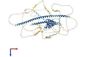 AlphaFold protein structure predicition of Mouse Recombinant Enah Protein, UniprotID Q03173
