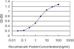 Detection limit for recombinant GST tagged MGC21874 is approximately 0. (TADA2B anticorps  (AA 2-110))