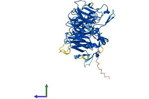 AlphaFold protein structure predicition of Human Recombinant PPP2R2B Protein, UniprotID Q00005