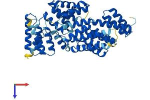 AlphaFold protein structure predicition of Mouse Recombinant Ifit1 Protein, UniprotID Q64282
