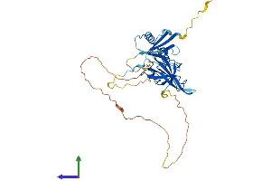 AlphaFold protein structure predicition of Mouse Recombinant Pard6a Protein, UniprotID Q9Z101