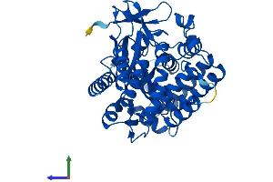 AlphaFold protein structure predicition of Mouse Recombinant Smyd3 Protein, UniprotID Q9CWR2