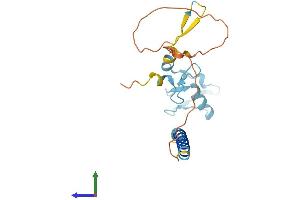 AlphaFold protein structure predicition of Mouse Recombinant Rnf152 Protein, UniprotID Q8BG47