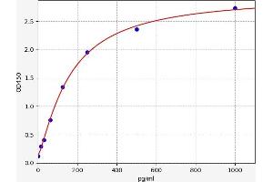 Chemokine (C-X-C Motif) Ligand 13 (CXCL13) ELISA Kit