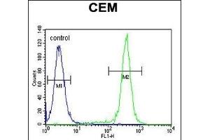 anti-Coiled-Coil Domain Containing 122 (CCDC122) (AA 203-231), (C-Term) antibody