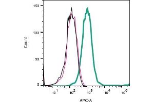 Cell surface detection of  EAAT2 by Indirect flow cytometry in live intact Rat pheochromocytoma PC12 cells: ___ Cells.