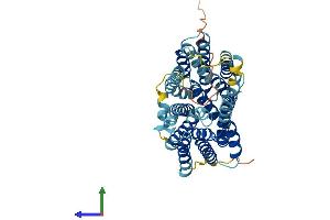 AlphaFold protein structure predicition of Mouse Recombinant Slc46a1 Protein, UniprotID Q6PEM8