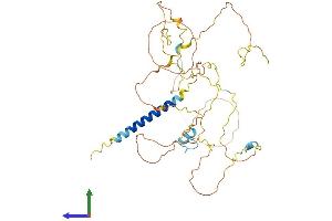AlphaFold protein structure predicition of Human Recombinant PAG1 Protein, UniprotID Q9NWQ8