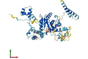 AlphaFold protein structure predicition of Human Recombinant JRKL Protein, UniprotID Q9Y4A0