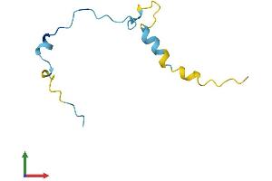 AlphaFold protein structure predicition of Human Recombinant ANAPC13 Protein, UniprotID Q9BS18