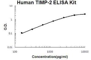 Human TIMP-2 PicoKine ELISA Kit standard curve (TIMP2 Kit ELISA)
