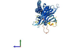 AlphaFold protein structure predicition of Human Recombinant TRIM49C Protein, UniprotID P0CI26