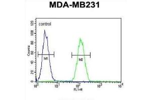 Flow Cytometry (FACS) image for anti-Syntaxin 7 (STX7) antibody (ABIN3002409)