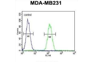Flow Cytometry (FACS) image for anti-Syntaxin 7 (STX7) antibody (ABIN3002409) (Syntaxin 7 anticorps)