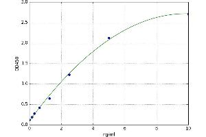 Telomerase Reverse Transcriptase (TERT) ELISA Kit