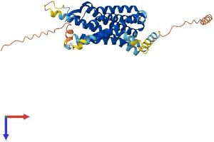AlphaFold protein structure predicition of Mouse Recombinant Cmklr1 Protein, UniprotID P97468