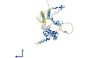 AlphaFold protein structure predicition of Human Recombinant DPF3 Protein, UniprotID Q92784