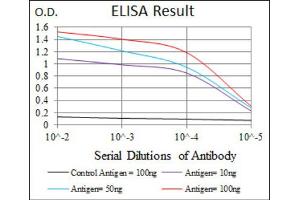 Red: Control Antigen (100ng) ; Purple: Antigen (10ng) ; Green: Antigen (50ng) ; Blue: Antigen (100ng). (TWF1 anticorps  (AA 335-384))