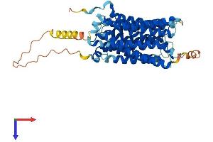 AlphaFold protein structure predicition of Human Recombinant SLC29A2 Protein, UniprotID Q14542