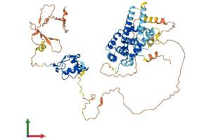 AlphaFold protein structure predicition of Human Recombinant NR2C2 Protein, UniprotID P49116