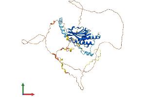 AlphaFold protein structure predicition of Mouse Recombinant Atg13 Protein, UniprotID Q91YI1