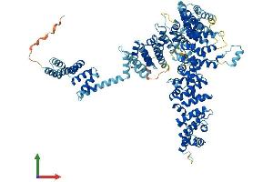 AlphaFold protein structure predicition of Human Recombinant UNC45A Protein, UniprotID Q9H3U1
