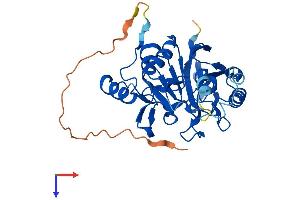 AlphaFold protein structure predicition of Mouse Recombinant Mpped1 Protein, UniprotID Q91ZG2