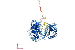 AlphaFold protein structure predicition of Human Recombinant EIF4A2 Protein, UniprotID Q14240