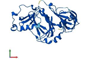 AlphaFold protein structure predicition of Mouse Recombinant Haao Protein, UniprotID Q78JT3