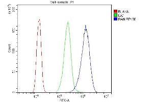 Flow Cytometry analysis of A431 cells using anti-Ran antibody (ABIN5518950). (RAN anticorps  (AA 2-216))