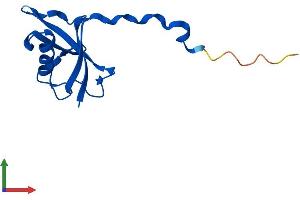 AlphaFold protein structure predicition of Human Recombinant ELOB Protein, UniprotID Q15370