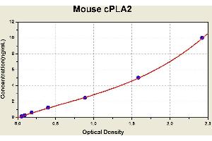 Diagramm of the ELISA kit to detect Mouse cPLA2with the optical density on the x-axis and the concentration on the y-axis.