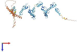 AlphaFold protein structure predicition of Human Recombinant ZNF253 Protein, UniprotID O75346