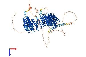 AlphaFold protein structure predicition of Mouse Recombinant Ppp4r4 Protein, UniprotID Q8C0Y0